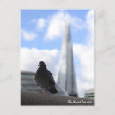 Search for pigeon postcards London