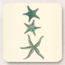 Search for starfish coasters Sea life