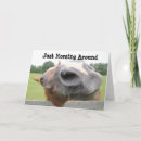 Search for equine seasonal cards Animals