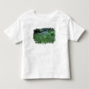 Search for hana tshirts Japan