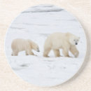 Search for carnivore barware Canadian