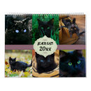 Search for black cat calendars Cute