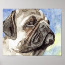 Search for pug picture posters Canine