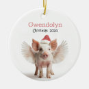 Search for flying pig Pink