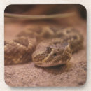 Search for snake coasters Fun