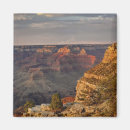 Search for rim magnets Landscape