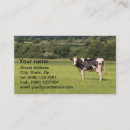 Search for steer business cards Farming