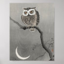 Search for eagle feathers posters Owl