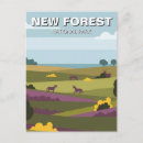Search for new england postcards Souvenir