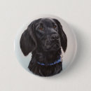 Search for companion badges Canine