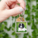 Search for newfoundland key rings Landseer