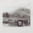 Search for convicts postcards School