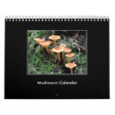 Search for mushroom calendars Photography
