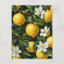 Search for fresh fruit postcards Floral