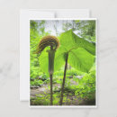 Search for pulpit Flower