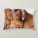 Search for danita delimont cushions Europe