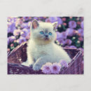 Search for blue cats postcards Flowers