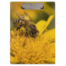 Search for sacs Animal