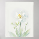 Search for narcissus posters December