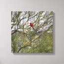 Search for cardinal art Tree