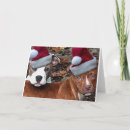 Search for pitbull christmas cards Animals