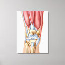 Search for knees art Healthcare