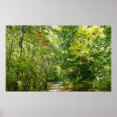 Search for centennials posters Landscape