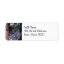 Search for koala bear return address labels Australia