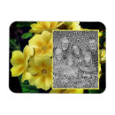 Search for primrose gifts Nature