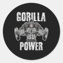 Search for weightlifting stickers Fit mindset