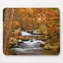 Search for mountain mouse mats Foliage
