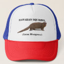 Search for meerkats hats Animals