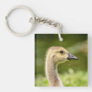 Search for canadian goose key rings Animal