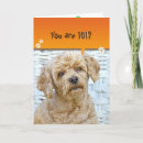 Search for 101st birthday cards Animal
