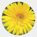 Search for gerbers stickers Plants
