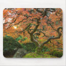 Search for japanese maple mouse mats Autumn