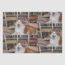 Search for fat cat wrapping paper Funny
