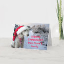 Search for bedlington terrier cards Snow