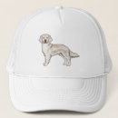 Search for golden retriever hats Canine