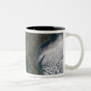 Search for southern states mugs Florida
