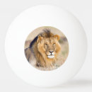 Search for big ping pong balls Animal