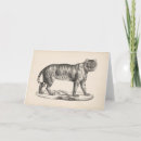 Search for animal sketch cards Antique