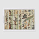 Search for cow and chicken tissue paper Rooster