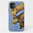 Search for camel iphone cases Cairo