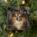 Search for photo pet memorials Dog lover