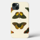 Search for butterfly electronics White