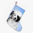 Search for portuguese water dog christmas Puppy