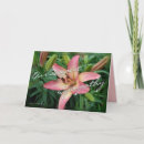 Search for fragrant cards Pink