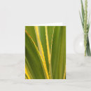 Search for plant note cards Agave