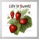 Search for varieties posters Vintage
